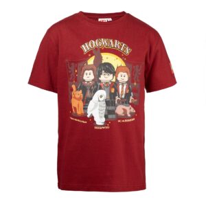 harry potter t shirt burgundy red 5008032