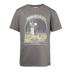 harry potter t shirt gray 5008033